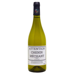 Chenin méchant 2025 - Domaine Réau