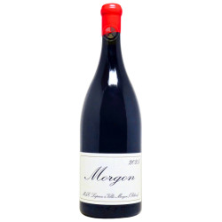 Morgon Vieilles Vignes 2025...