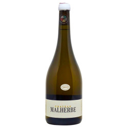 Malherbe Blanc 2022 - Château Malherbe