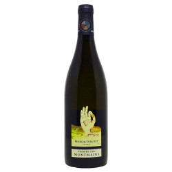Chablis 1er Cru Montmains 2023 - Moreau Naudet