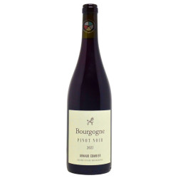 Pinot Noir 2023 - Arnaud Combier