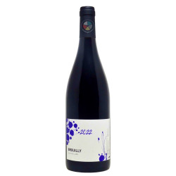 Brouilly 2022 - Alex Foillard