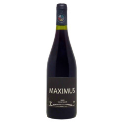 Maximus 2023 - Nicolas Carmarans