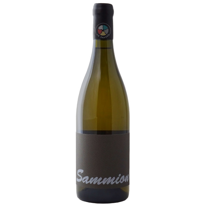 Shobbrook - Sammion Shobbrook - Sammion
