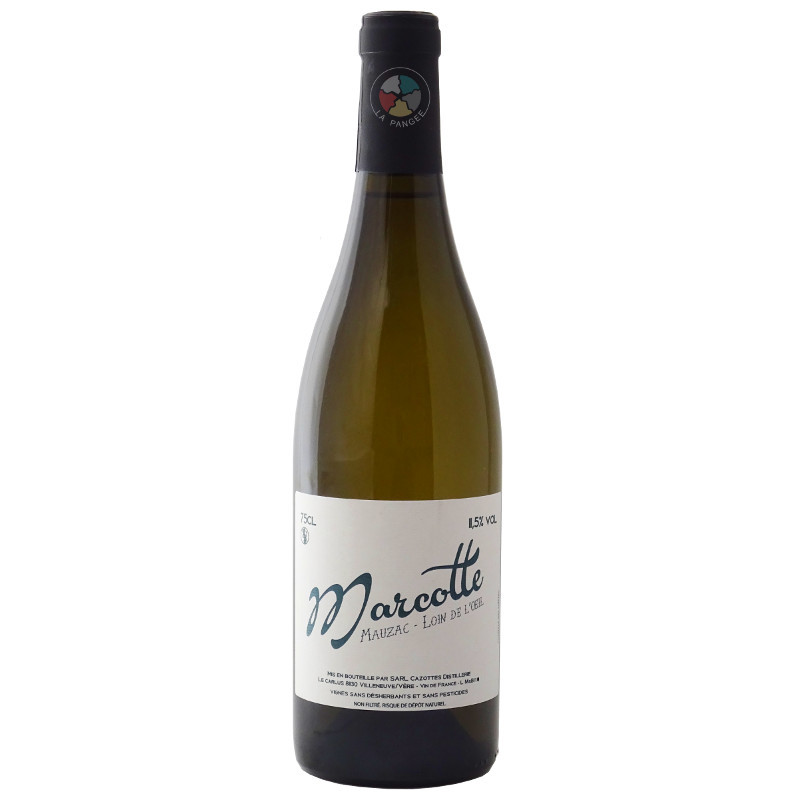 Cazottes - Marcotte blanc Cazottes - Marcotte blanc