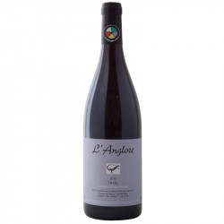 L'Anglore - Tavel
