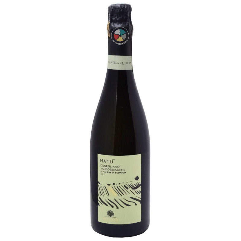 Matiu 2019 - L'Antica Quercia Matiu 2019 - L'Antica Quercia