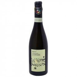 Matiu 2019 - L'Antica Quercia