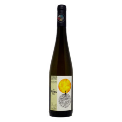 Heissenberg Riesling 2021 - Ostertag