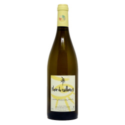 Fleur de Cailloux 2023 - Padié