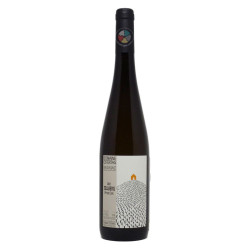 Zellberg Pinot Gris 2022 - Ostertag