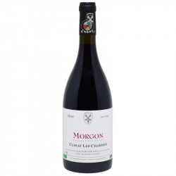 Morgon Climat Les Charmes 2019 - Clos des Vignes du Maynes