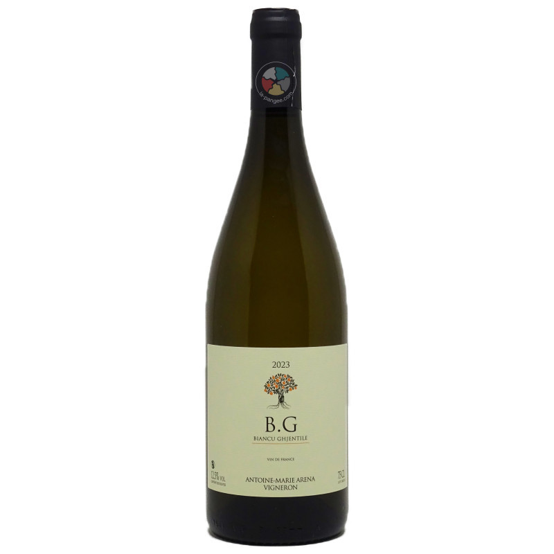 Bianco gentile 2023 - Antoine-Marie Arena Bianco gentile 2023 - Antoine-Marie Arena