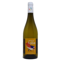 Brain de Folie Chenin Blanc VDF - 2023  - Mortier