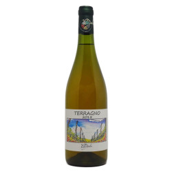 Terragno Bianco 2018 -...