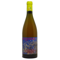 copy of Blossom 2022 - Matassa