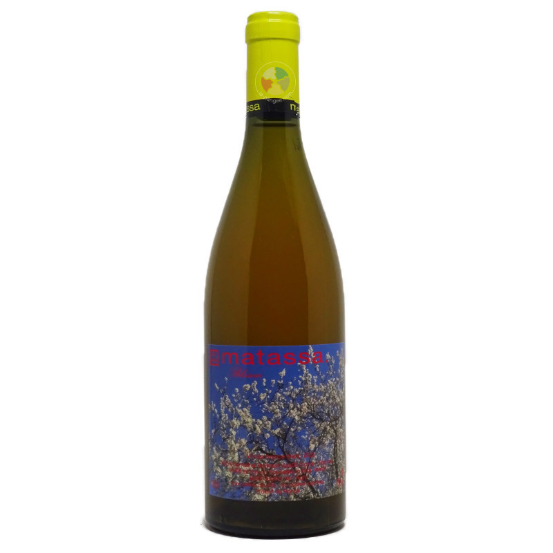 Blossom 2023 - Matassa Blossom 2023 - Matassa