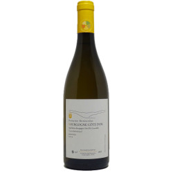 Bourgogne Côte d'Or Clos Botaveau 2022 - Bonnardot