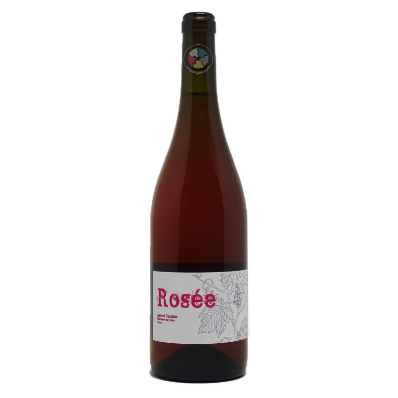 Rosée 2024 - Cazottes Rosée 2024 - Cazottes