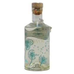 Gin Envol bio - 70cl - Vivant