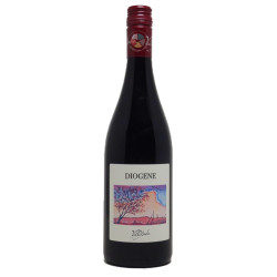 copy of Diogene Dolcetto...