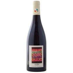 Poulsard En Billat 2018- Domaine Labet