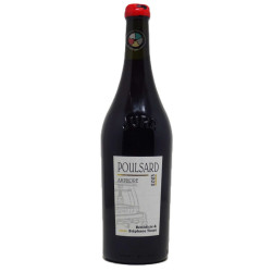 Arbois Poulsard En Amphore 2023 - B&S Tissot