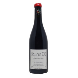 Fleurie Vieilles Vignes 2022 - Georges Descombes