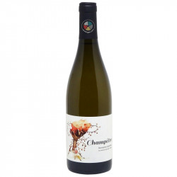 Champêtre blanc 2023  - Cazottes
