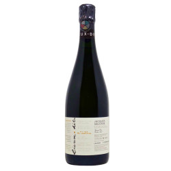 Chantereines - Champagne Jacques Selosse