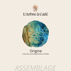 L'arbre à café - Origine - café grains