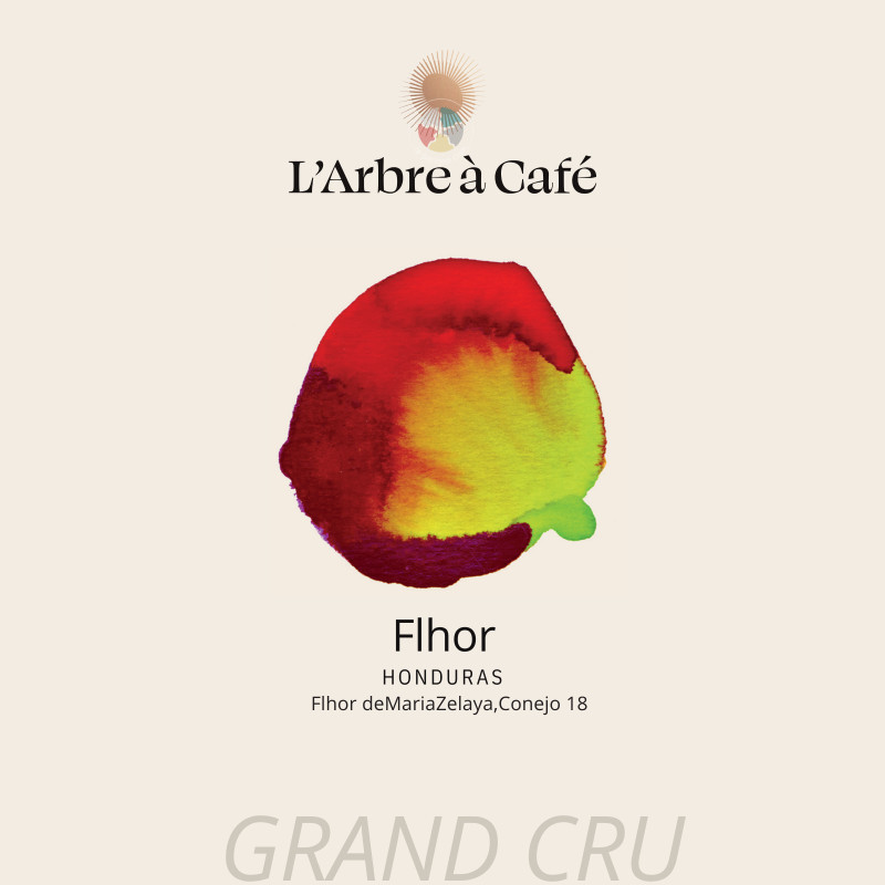 L'arbre à café - Fhlor - café grains 1 kg