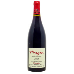 Morgon 2023 - Georges...