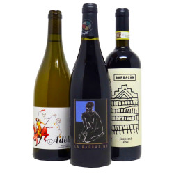 Pack Gangloff - Barbarine