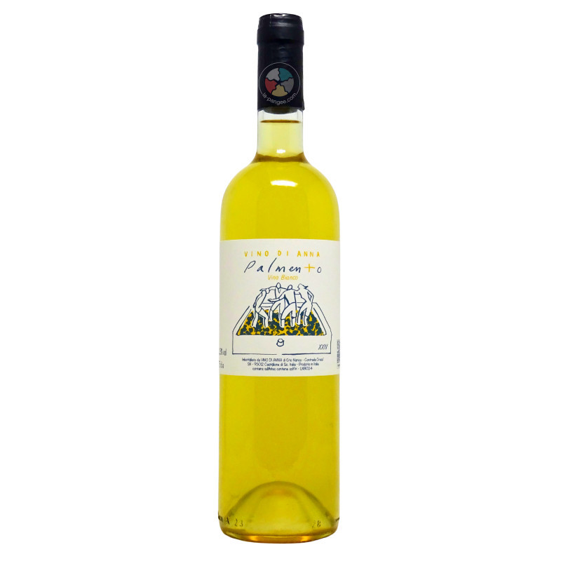 Palmento Bianco 2024 - Vino Di Anna