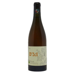 D' Ici 2009 - Cazottes