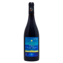 El teu mar les meves...