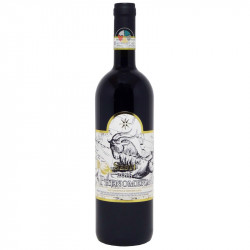 Phenomena 2016 - Sesti