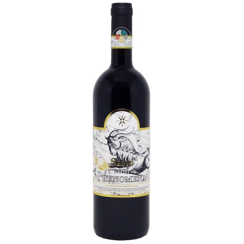 Phenomena 2016 - Sesti