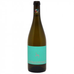 Joy 2021 - Travis Tausend