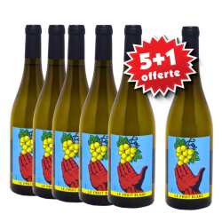 Le Fruit blanc 2024 ( 5 +1...