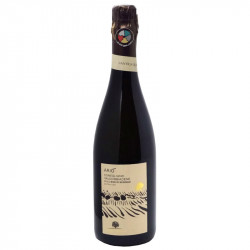 Ario 2019 - L'Antica Quercia