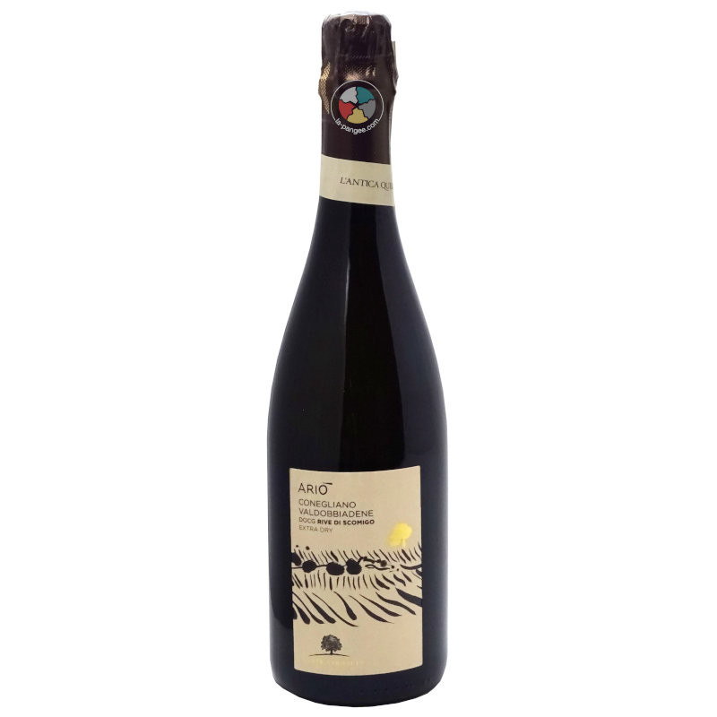 Ario 2019 - L'Antica Quercia
