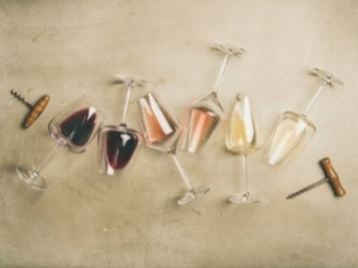 Dégustation commentée des vins du portfolio La Pangée
