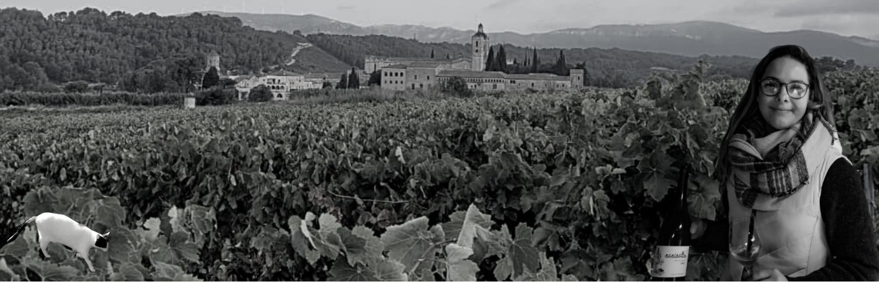 Vins naturels Joanna Dubrawska - Maninalto