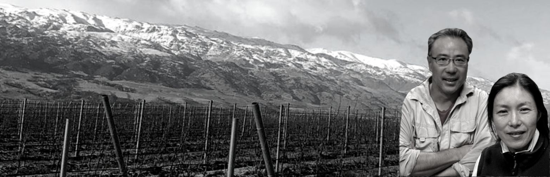 Vins naturels Sato - Central Otago - Nouvelle Zélande