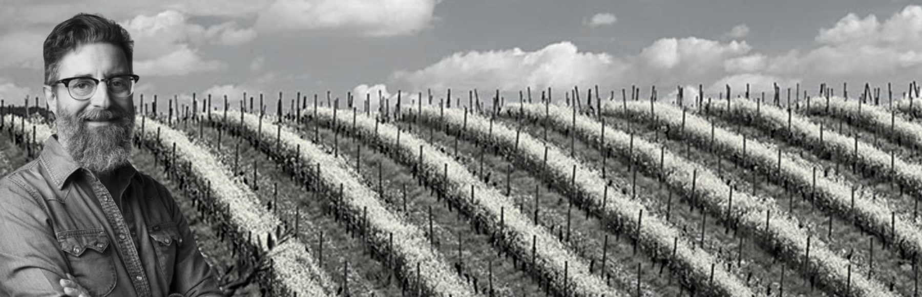 Vin naturels l'Antica Quercia - Vénétie - Italie